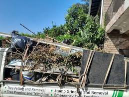 Best Hoarding Cleanup  in Westfield, MA